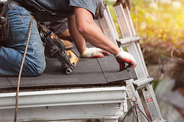 Best Roof Gutter Cleaning  in Bourg, LA